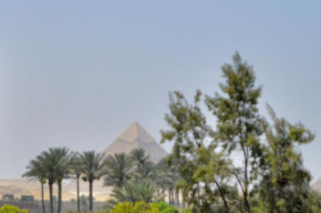 الهرم